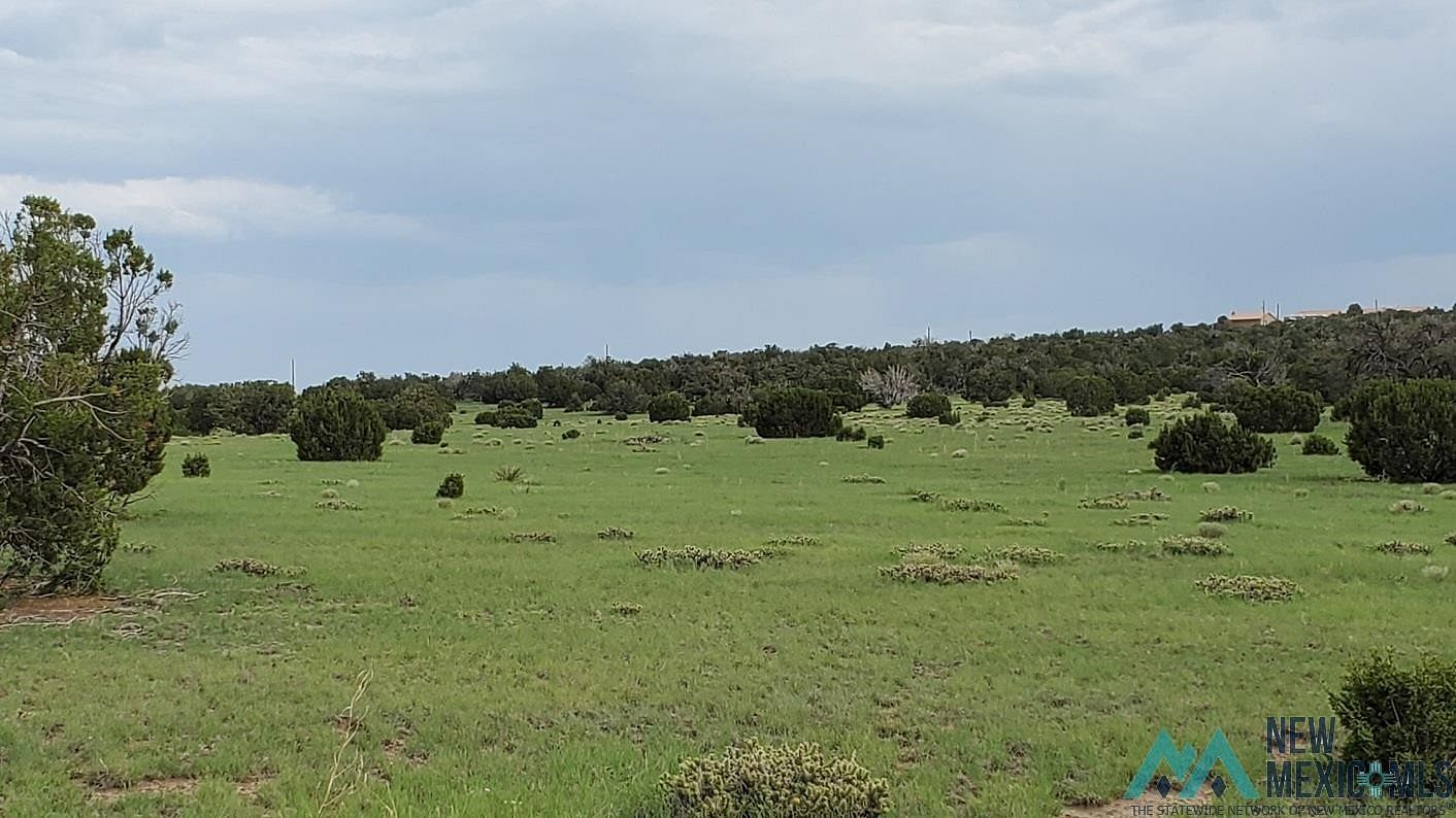 15.5 Acres of Recreational Land for Sale in Quemado, New Mexico