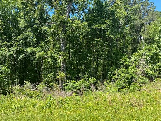 9.8 Acres of Land for Sale in Cusseta, Georgia