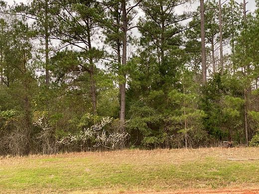 262 Acres of Land for Sale in Richland, Georgia