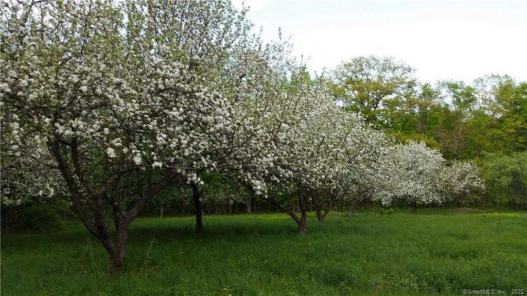 87.2 Acres of Improved Land for Sale in Barkhamsted, Connecticut