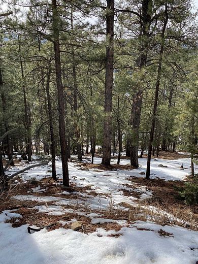 0.88 Acres of Residential Land for Sale in Angel Fire, New Mexico