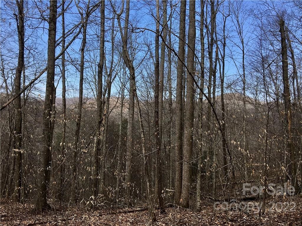 2.9 Acres of Residential Land for Sale in Mars Hill, North Carolina