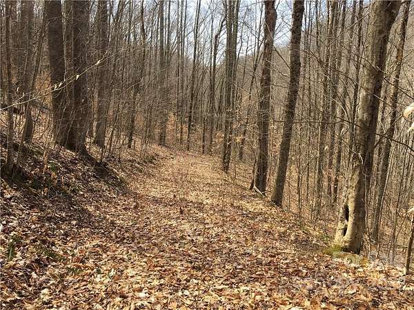 2.9 Acres of Residential Land for Sale in Mars Hill, North Carolina