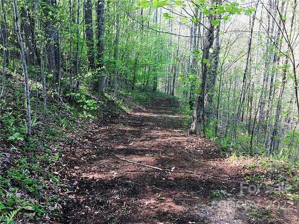 1.28 Acres of Residential Land for Sale in Mars Hill, North Carolina