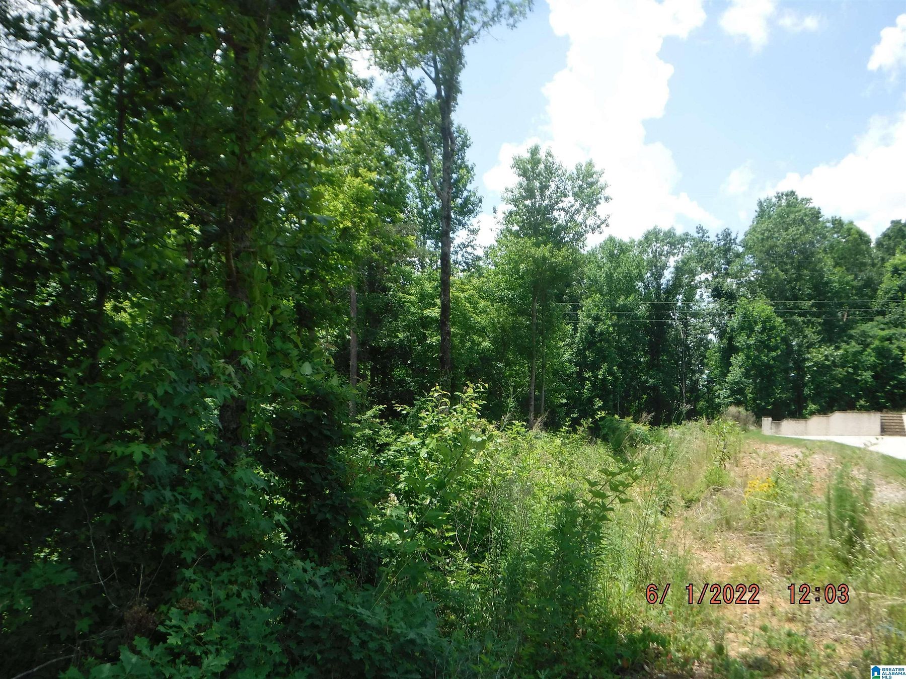 66.4 Acres of Land for Sale in Pleasant Grove, Alabama