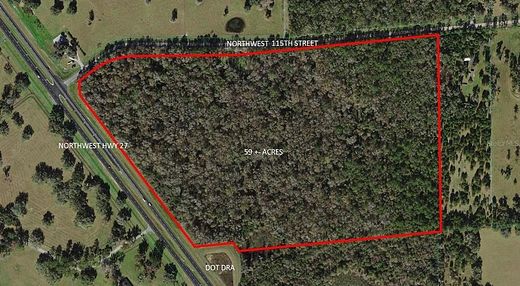 59.2 Acres of Agricultural Land for Sale in Ocala, Florida