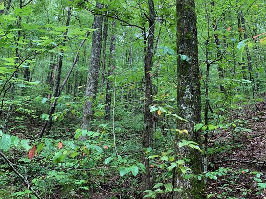 0.92 Acres of Land for Sale in Judsonia, Arkansas