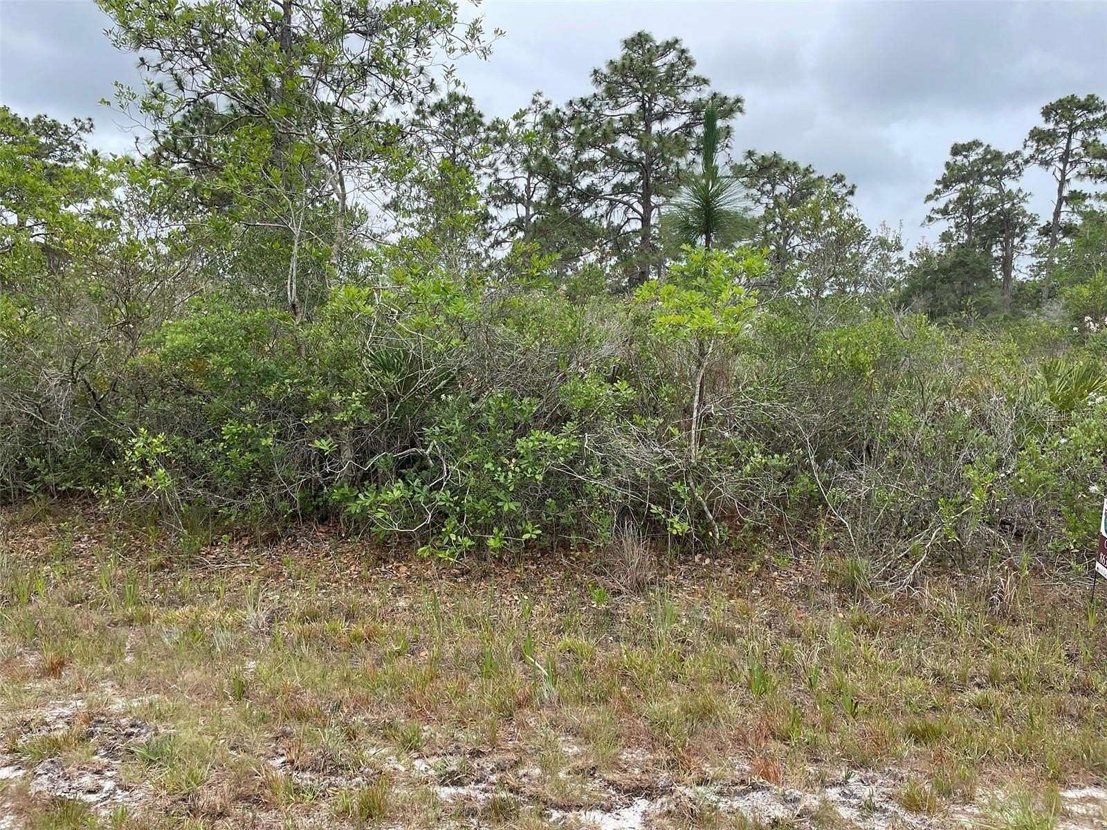 0.5 Acres of Residential Land for Sale in Indian Lake Estates, Florida