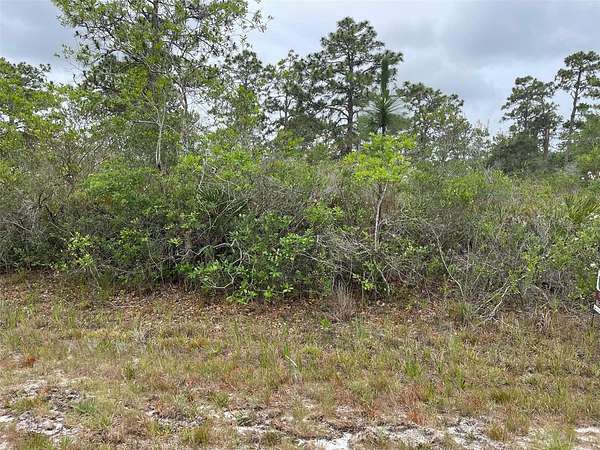 0.5 Acres of Residential Land for Sale in Indian Lake Estates, Florida