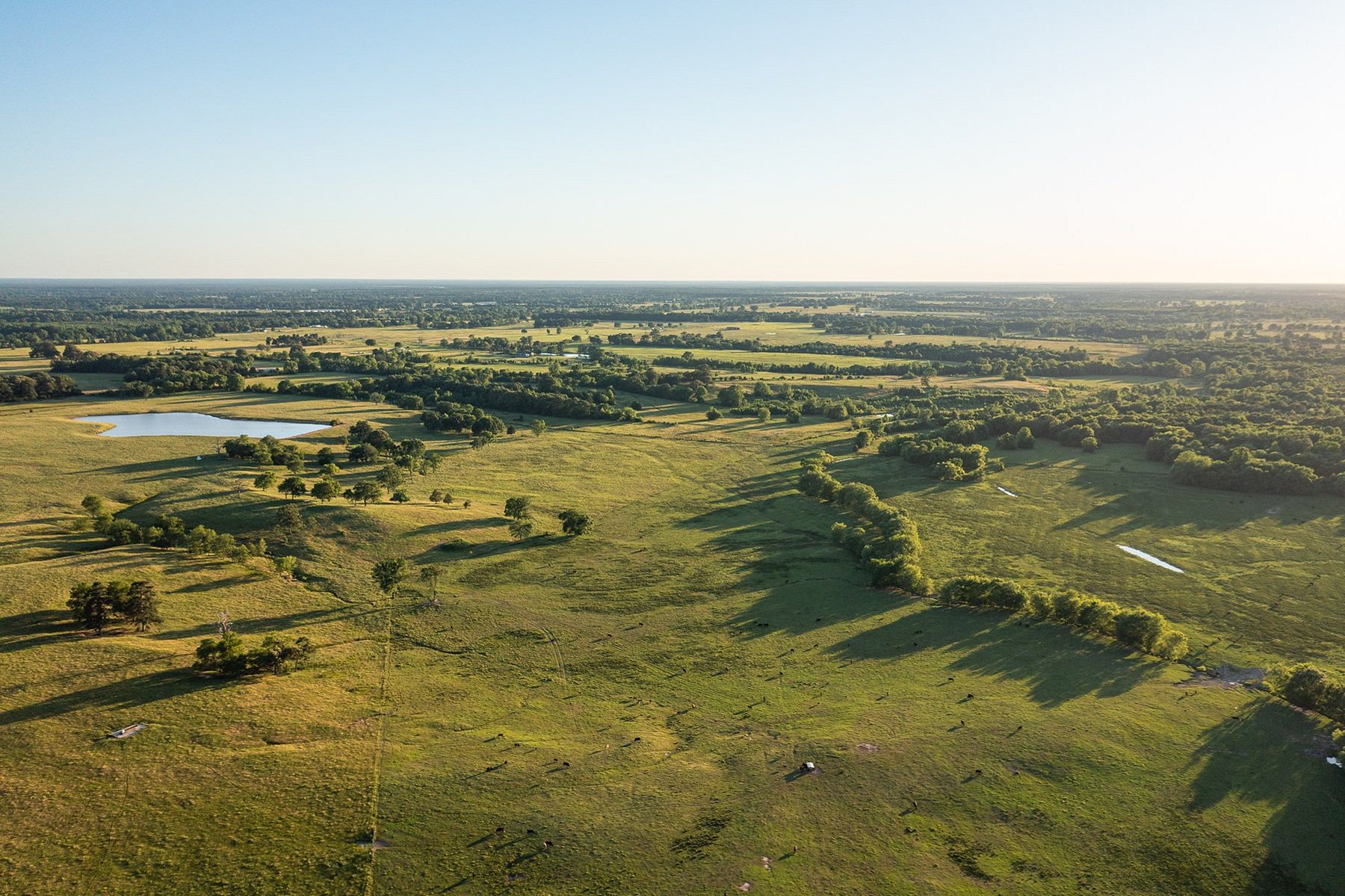 810 Acres of Land for Sale in De Kalb, Texas