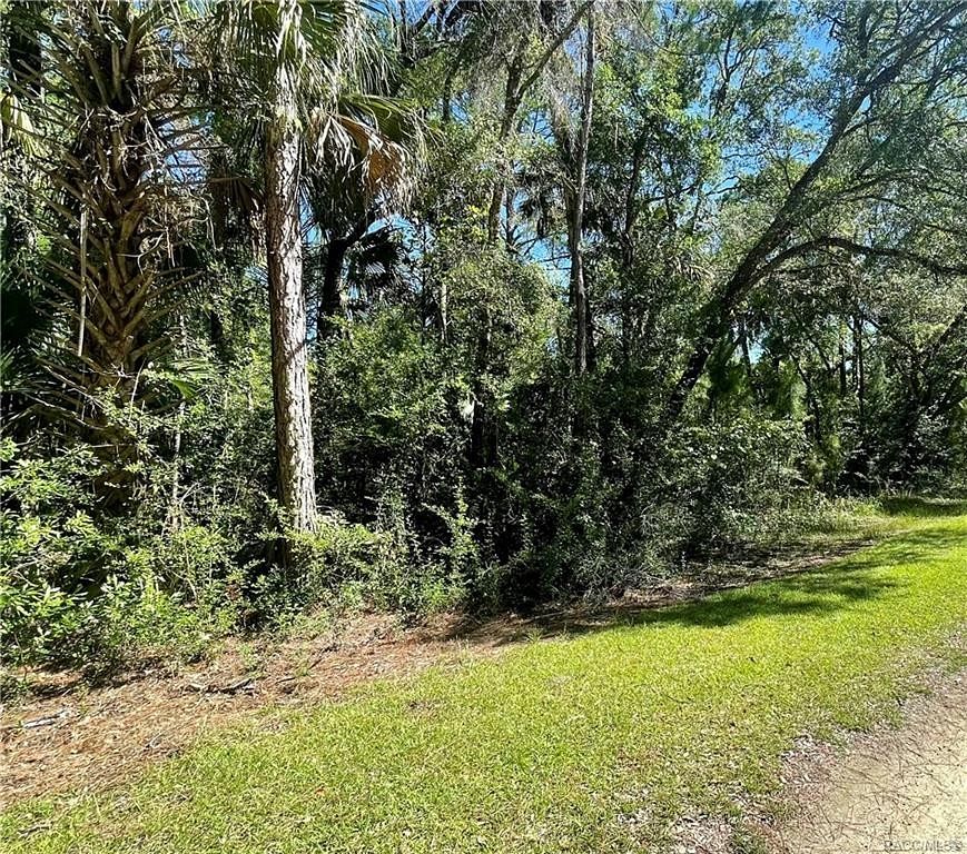 1.3 Acres of Land for Sale in Inglis, Florida