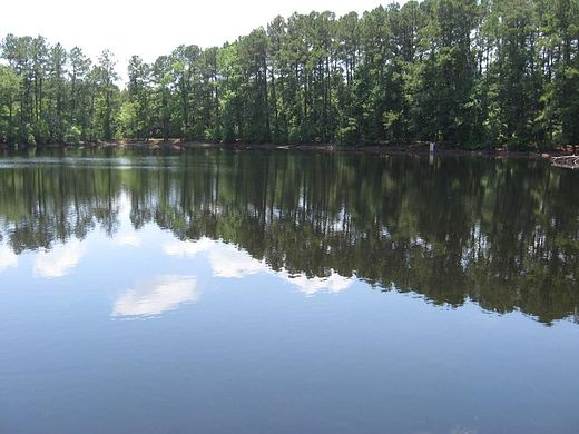 41.7 Acres of Recreational Land for Sale in Cordova, South Carolina