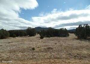 1 Acre of Residential Land for Sale in Concho, Arizona