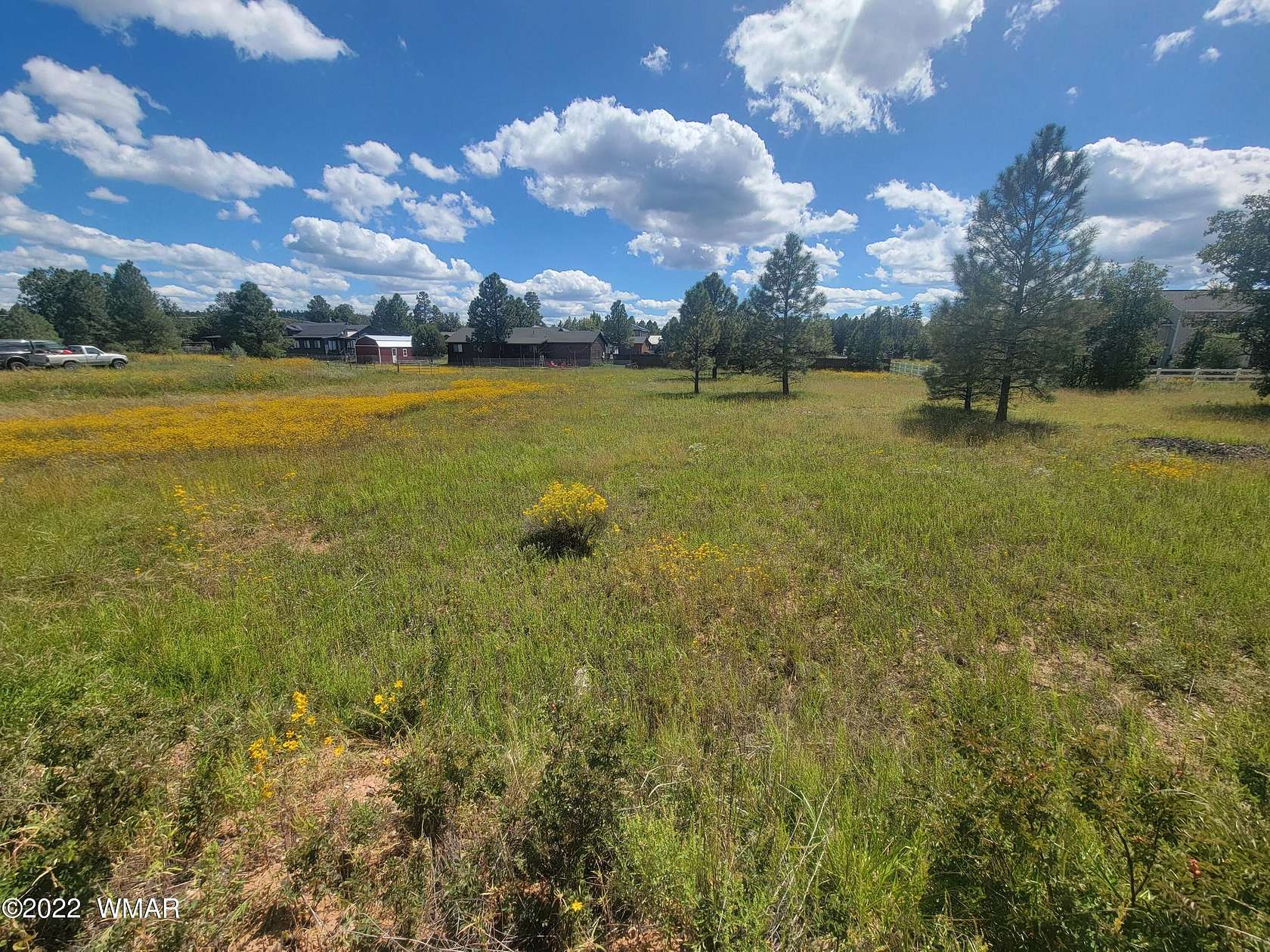 0.25 Acres of Residential Land for Sale in Overgaard, Arizona