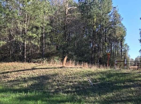 10 Acres of Commercial Land for Sale in Poplarville, Mississippi