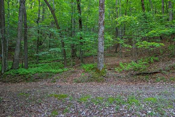 1.4 Acres of Residential Land for Sale in Brasstown, North Carolina