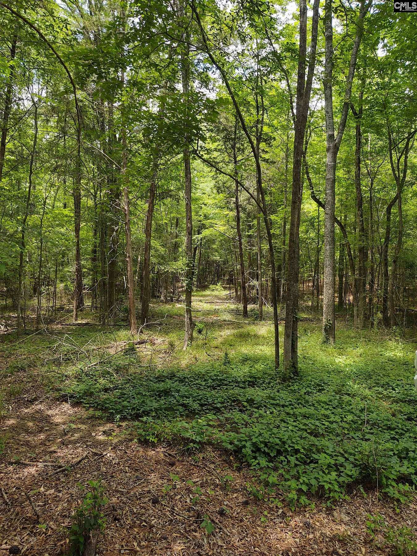 1 Acre of Residential Land for Sale in Irmo, South Carolina