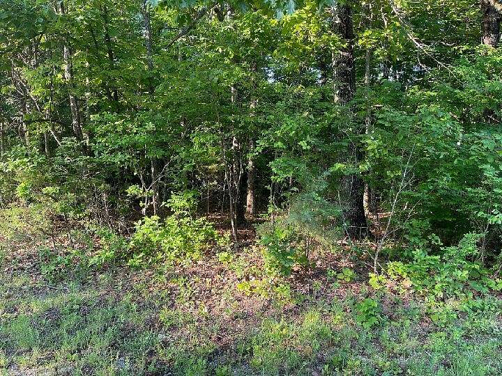 0.42 Acres of Land for Sale in Horseshoe Bend, Arkansas