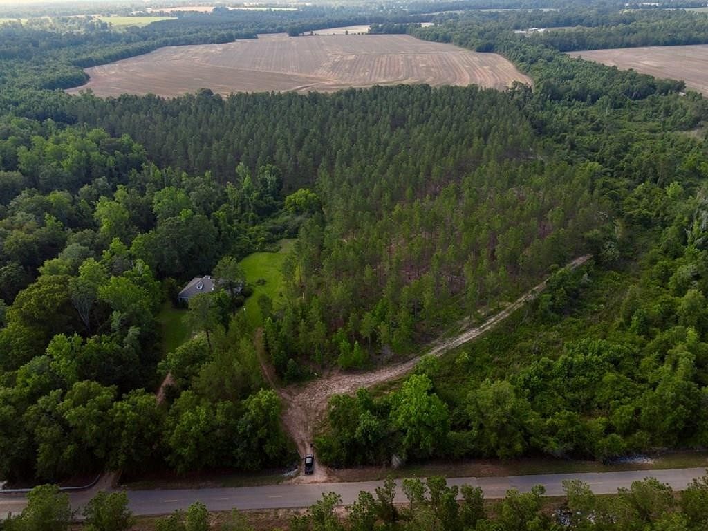 46.8 Acres of Land for Sale in Ashford, Alabama