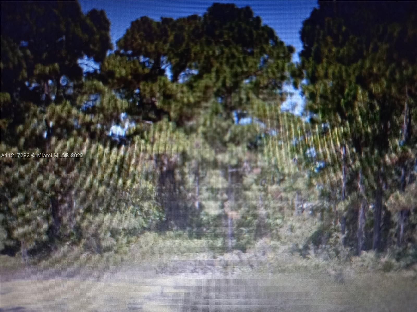 0.23 Acres of Residential Land for Sale in Lehigh Acres, Florida