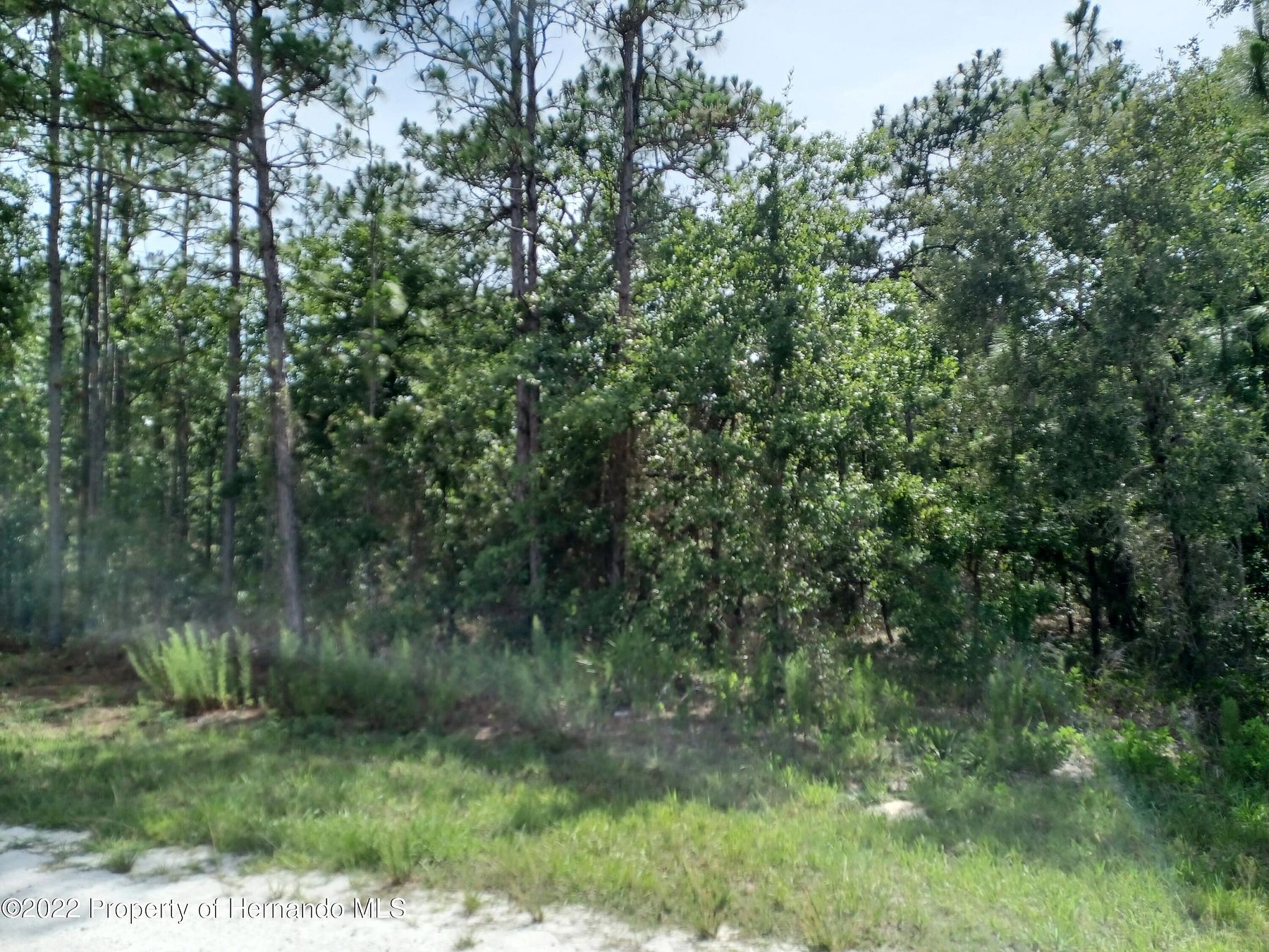 0.87 Acres of Residential Land for Sale in Weeki Wachee, Florida