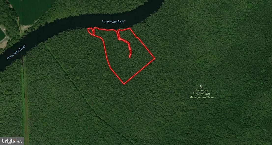16 Acres of Recreational Land for Sale in Pocomoke City, Maryland