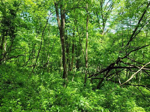 1.84 Acres of Residential Land for Sale in Galena, Illinois