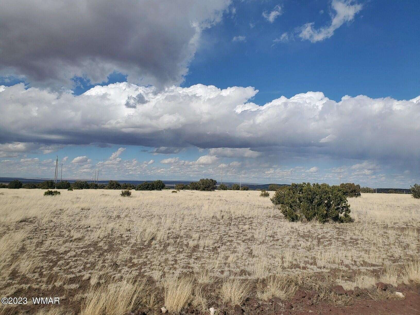 1 Acre of Residential Land for Sale in Concho, Arizona