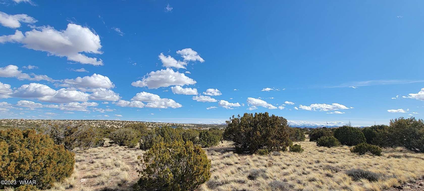 1 Acre of Residential Land for Sale in Concho, Arizona
