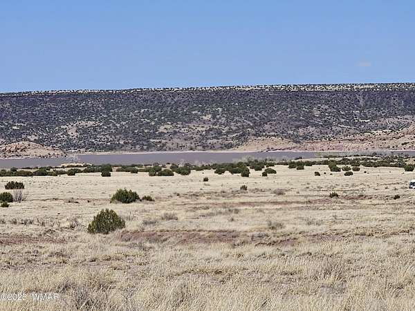 1 Acre of Residential Land for Sale in St. Johns, Arizona