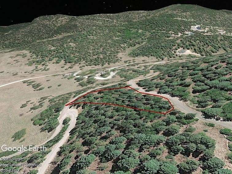 1 Acre of Land for Sale in Cloudcroft, New Mexico