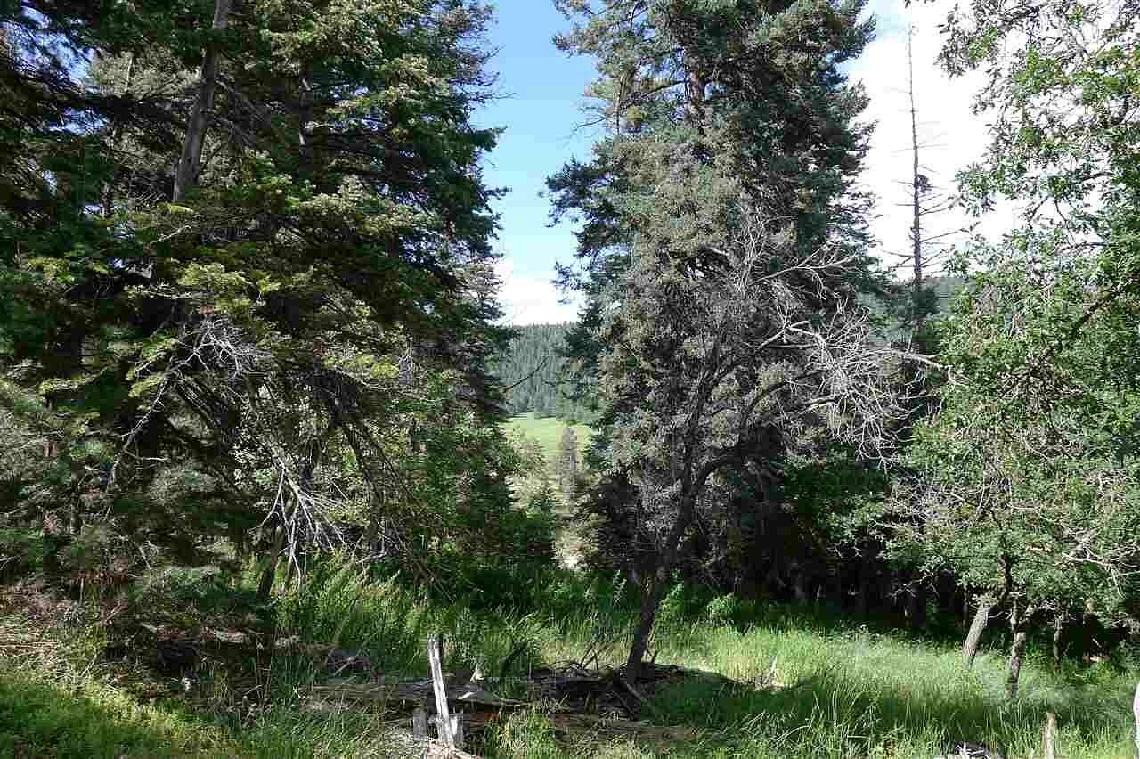 1 Acre of Land for Sale in Cloudcroft, New Mexico