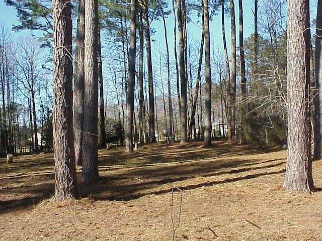0.52 Acres of Residential Land for Sale in Melfa, Virginia