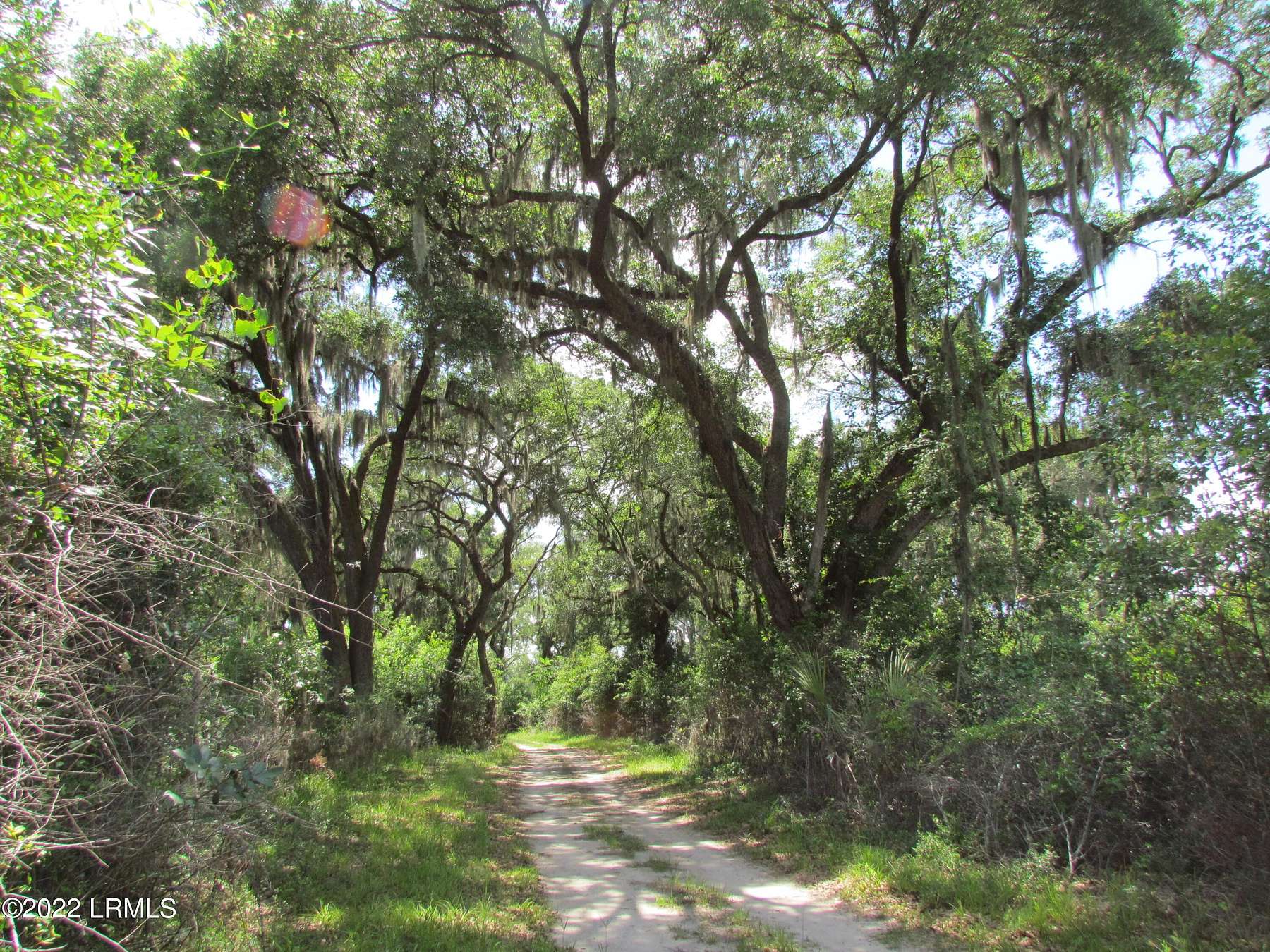 318 Acres of Agricultural Land for Sale in Seabrook, South Carolina