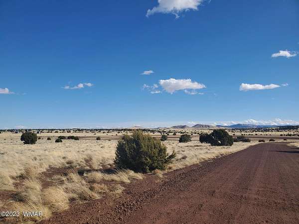 1 Acre of Residential Land for Sale in Concho, Arizona