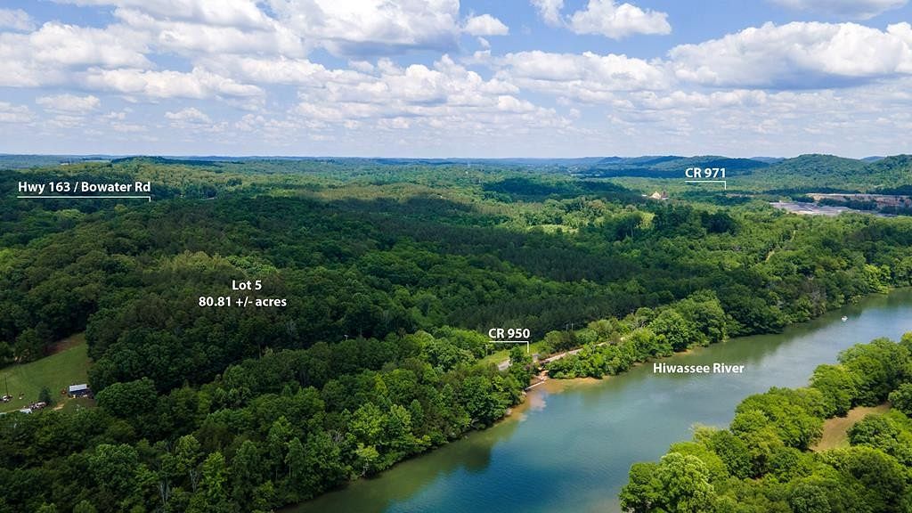 80.8 Acres of Land for Sale in Calhoun, Tennessee
