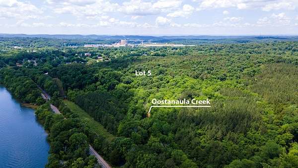 80.8 Acres of Land for Sale in Calhoun, Tennessee