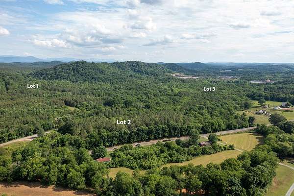 46.2 Acres of Land for Sale in Calhoun, Tennessee