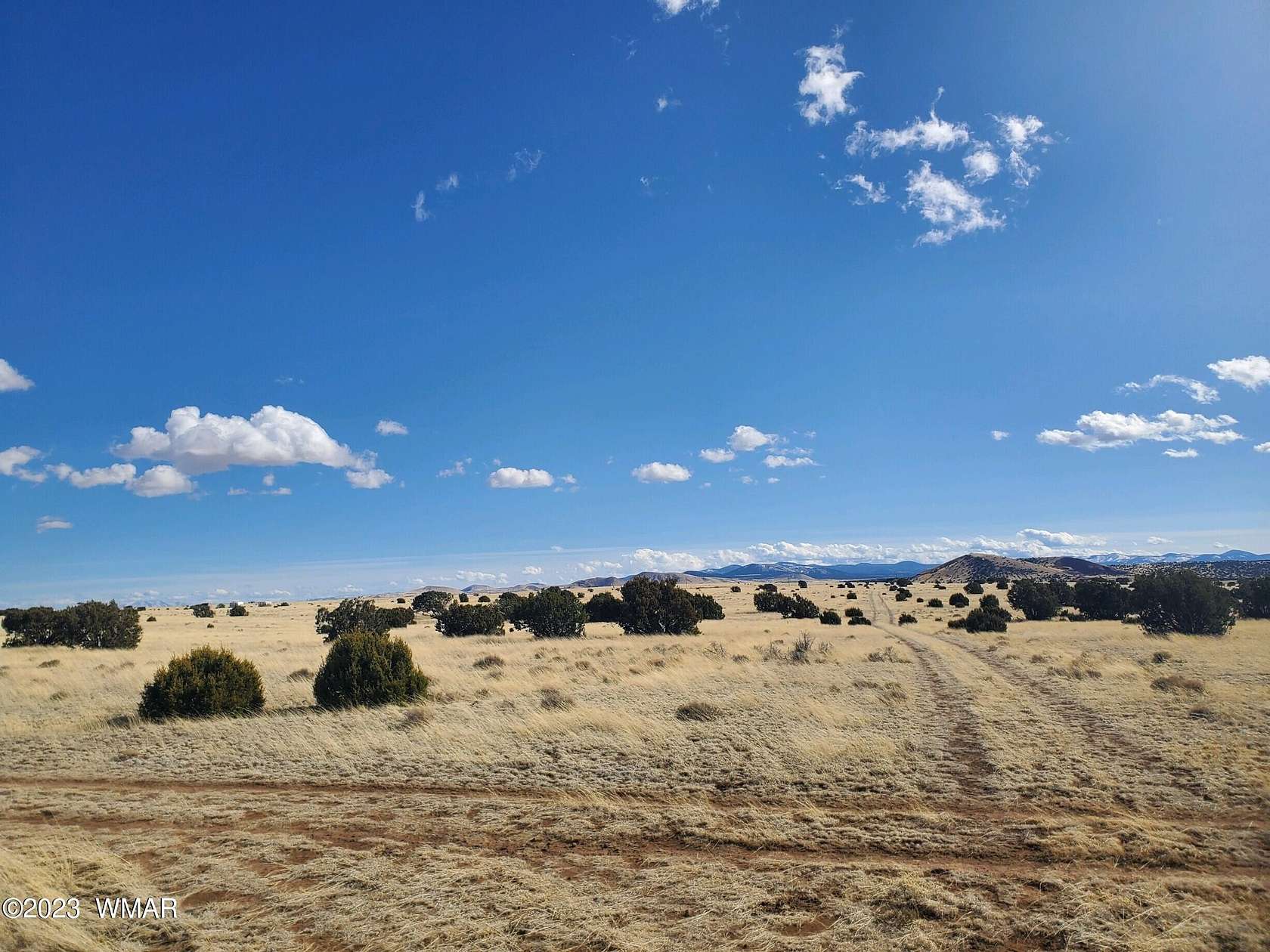 1 Acre of Residential Land for Sale in Concho, Arizona