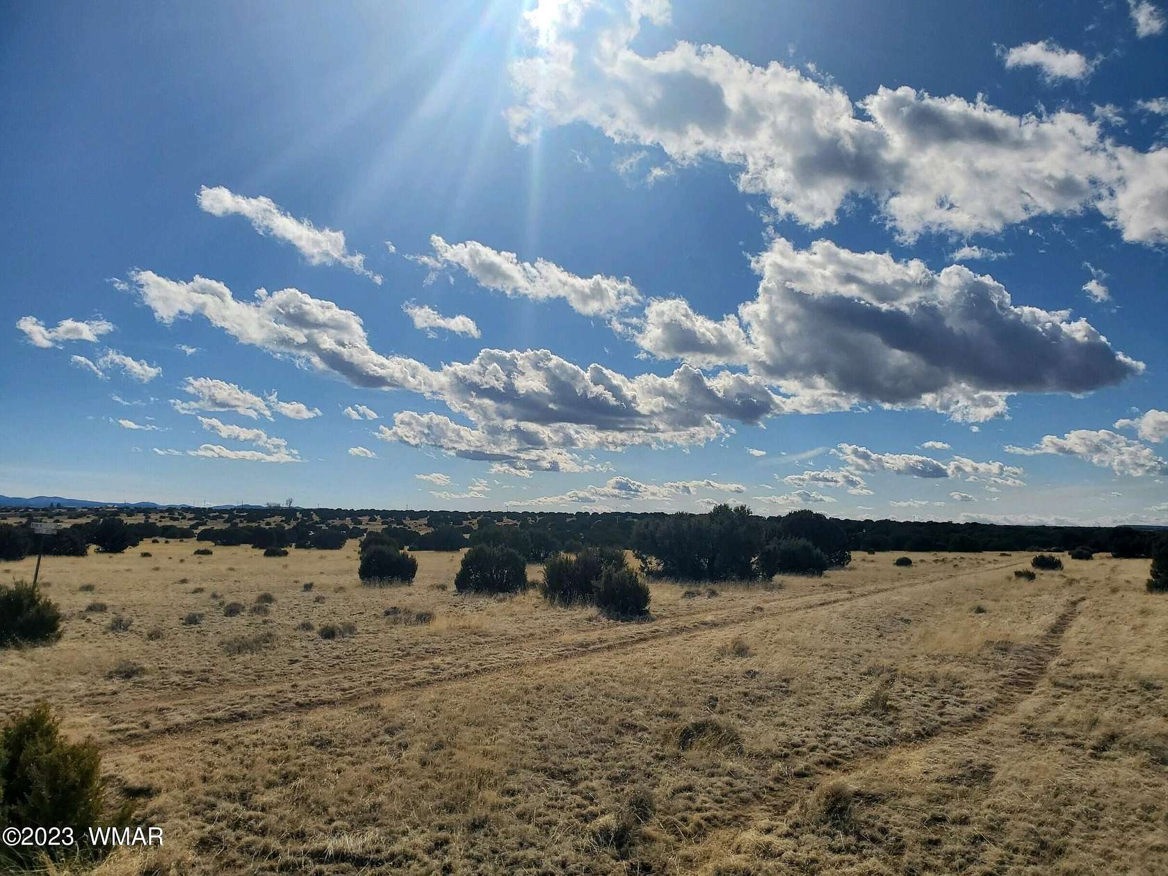 1 Acre of Residential Land for Sale in Concho, Arizona