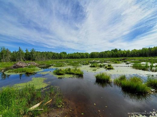 134.4 Acres of Recreational Land for Sale in Greenbush, Maine