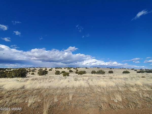 1 Acre of Residential Land for Sale in Concho, Arizona
