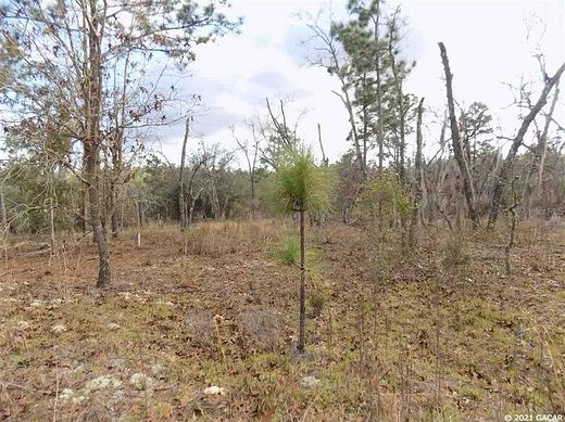 0.84 Acres of Residential Land for Sale in Hawthorne, Florida
