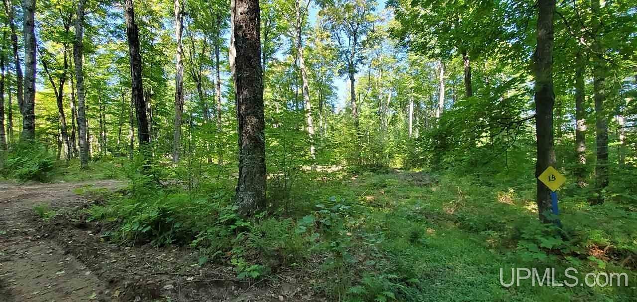 2.4 Acres of Land for Sale in Iron River, Michigan
