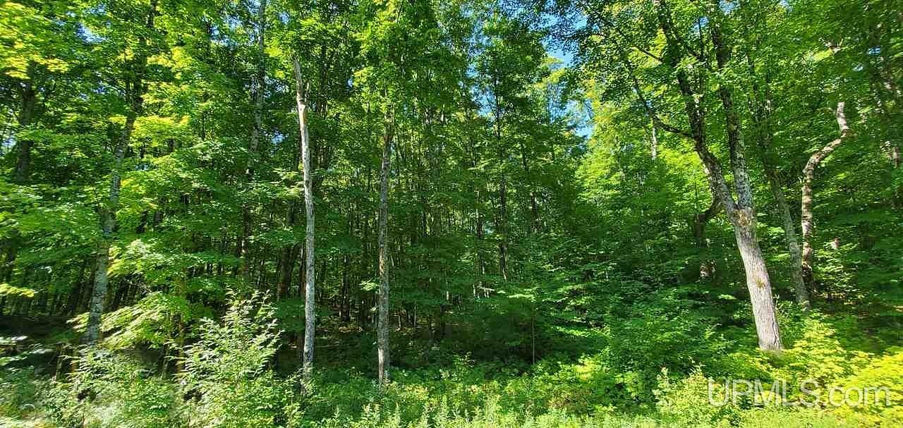 7 Acres of Land for Sale in Iron River, Michigan