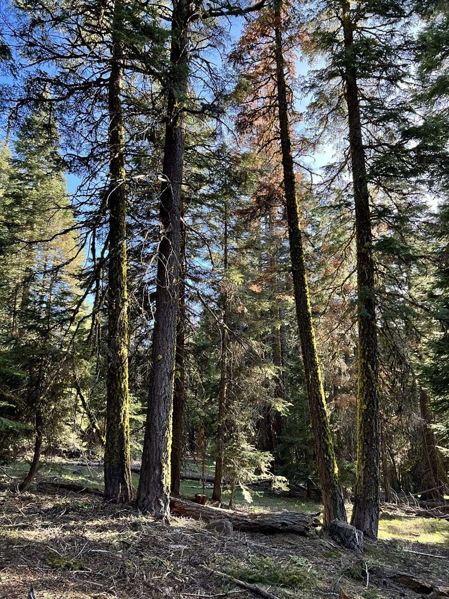 3 Acres of Land for Sale in Alturas, California