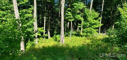 4.3 Acres of Land for Sale in Iron River, Michigan