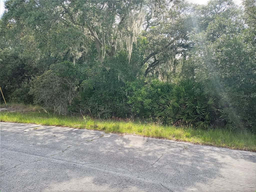 0.31 Acres of Residential Land for Sale in Kissimmee, Florida