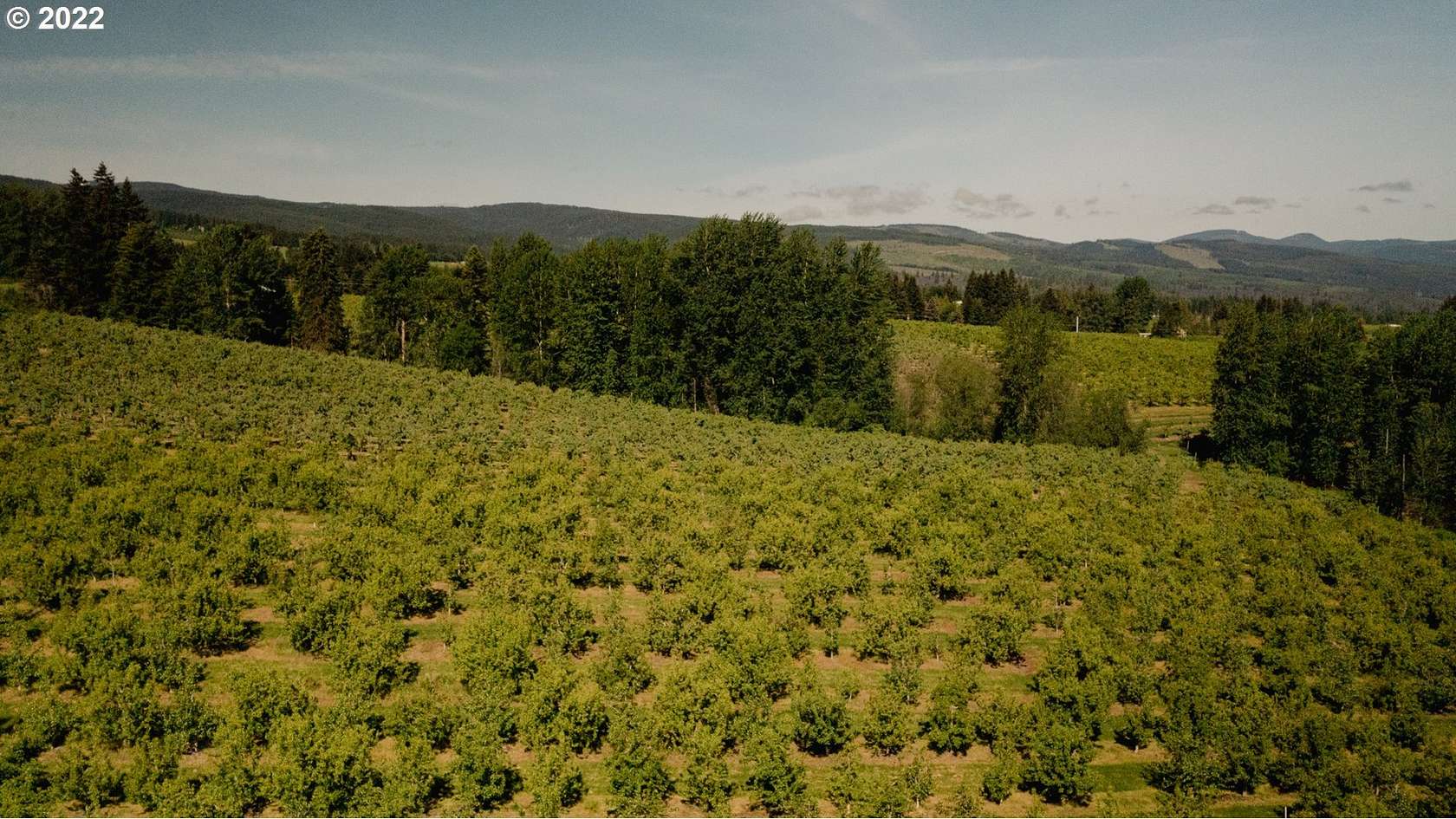 5.1 Acres of Residential Land for Sale in Mount Hood, Oregon