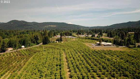 25.2 Acres of Agricultural Land for Sale in Mount Hood, Oregon